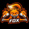 dr_fox