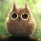wiseowl