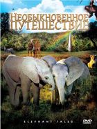 Необыкновенное путешествие: История про двух слонят