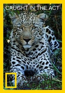 National Geographic:  :   , 2007