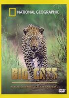National Geographic. Леопарды дельты Окаванго