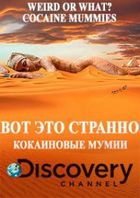 Discovery.    ( )