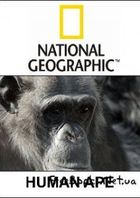 National Geographic:  ...?