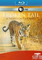 Сломанный хвост: Последнее путешествие тигра