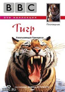 BBC:   - :   The Wildlife Specials: Tiger, 1999