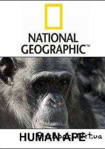 National Geographic:  ...?, 2008