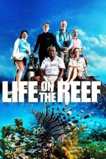 Жизнь на Большом Барьерном рифе, 2014